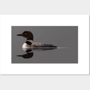 Loon Reflections Posters and Art